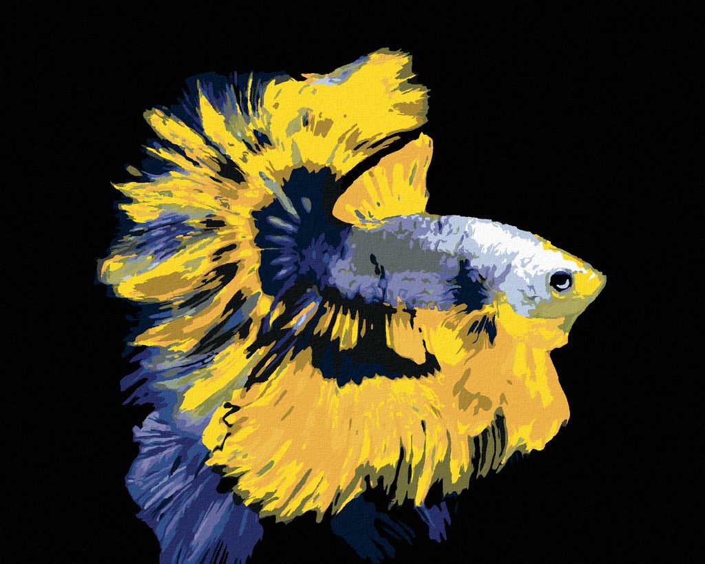 Zuty - Malen nach Zahlen - KAMPFFISCH GELB-BLAU, 40x50 cm, ohne Keilrahmen