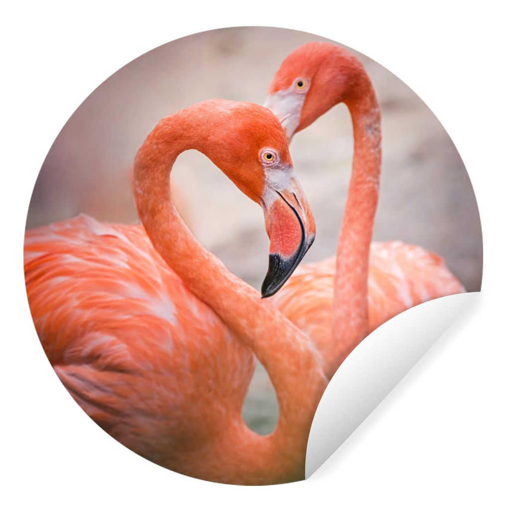 MuchoWow Runde Wandtattoo - Wandsticker Tapete Aufkleber Flamingos bilden mit ihren Hälsen ein Herz Ø 80 cm Selbstklebend und Repositionierbar ...