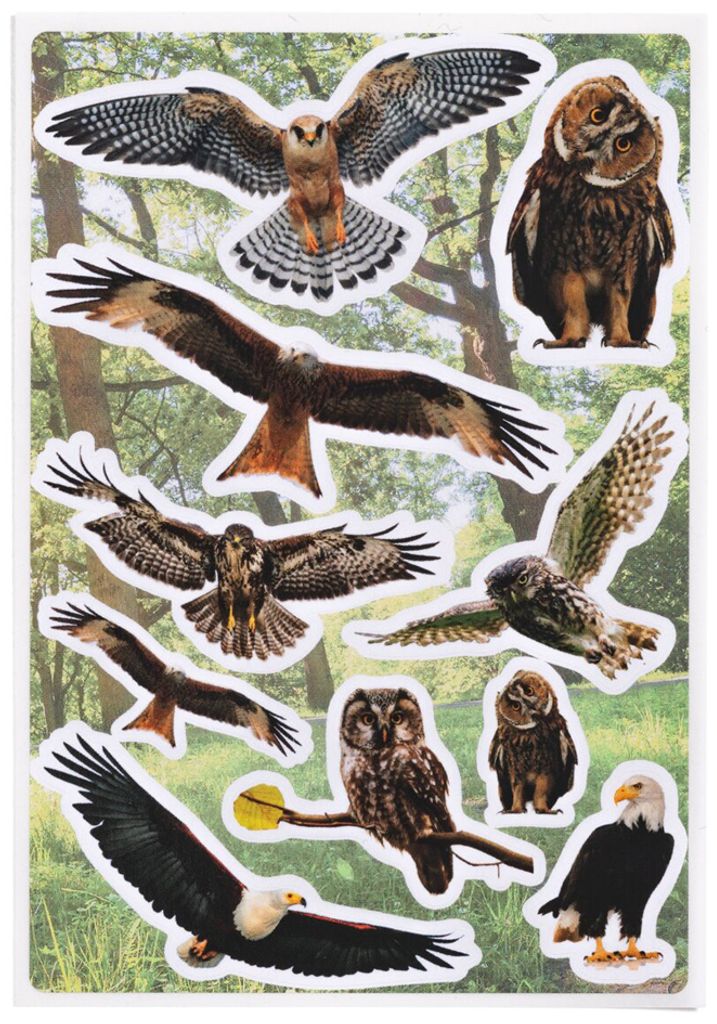 Autocollants HERMA DECOR oiseaux de proie en papier mat 3 Image du produit 