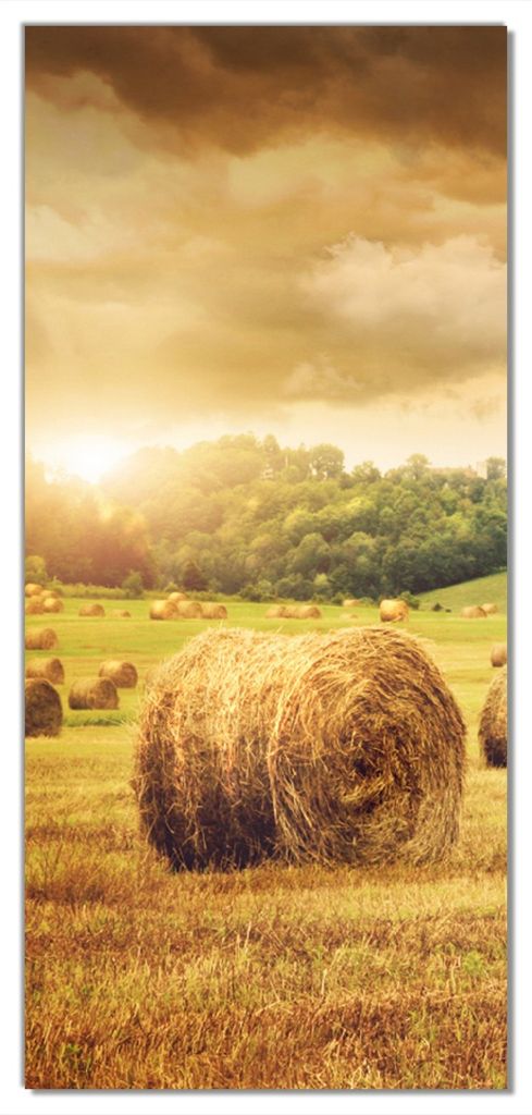 Wallario selbstklebende Türtapete 93 x 205 cm - Strohballen auf dem Feld bei Sonnenuntergang - Abwischbar, rückstandsfrei zu entfernen
