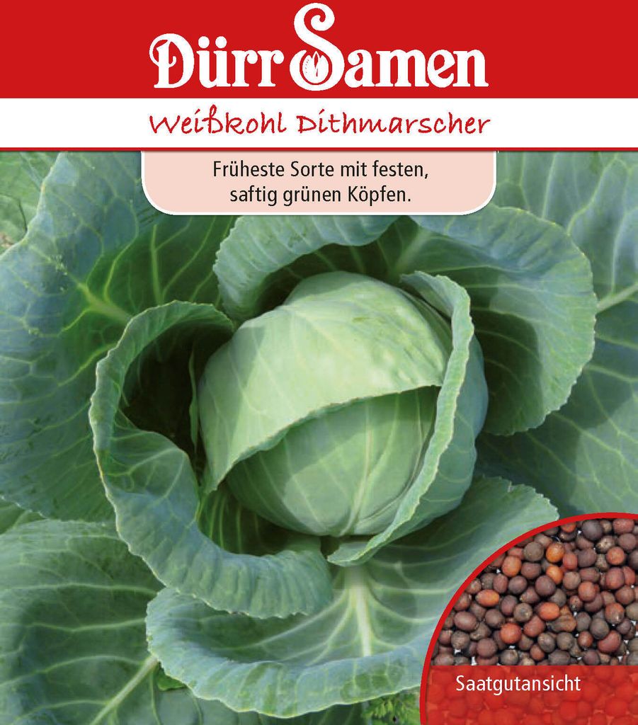 Weißkohl Dithmarscher | Weißkohlsamen von Dürr Samen