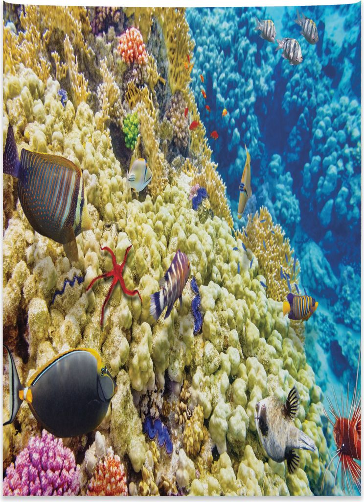 Abakuhaus Landschaft Wandteppich, Exotische natürliche Meeresansicht aus Weiches Mikrofaser Stoff Kein Verblassen Klare Farben Waschbar, 110 x 150...