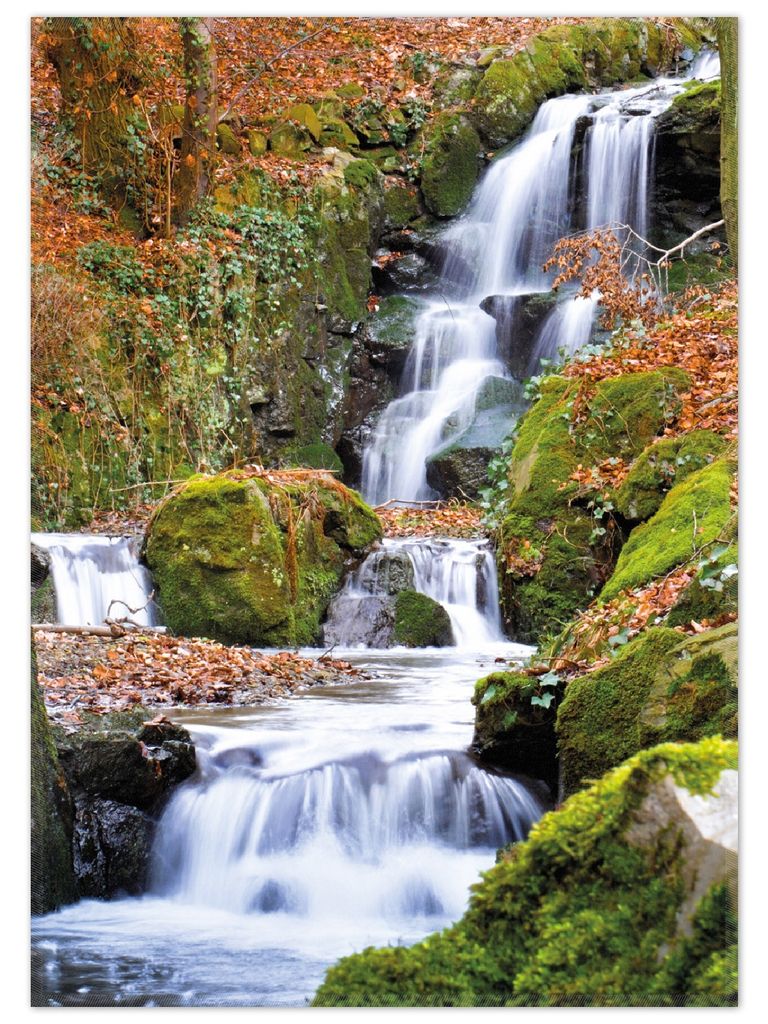 Wallario Premium Teppich, Größe 50 x 70 cm, Bach im Wald