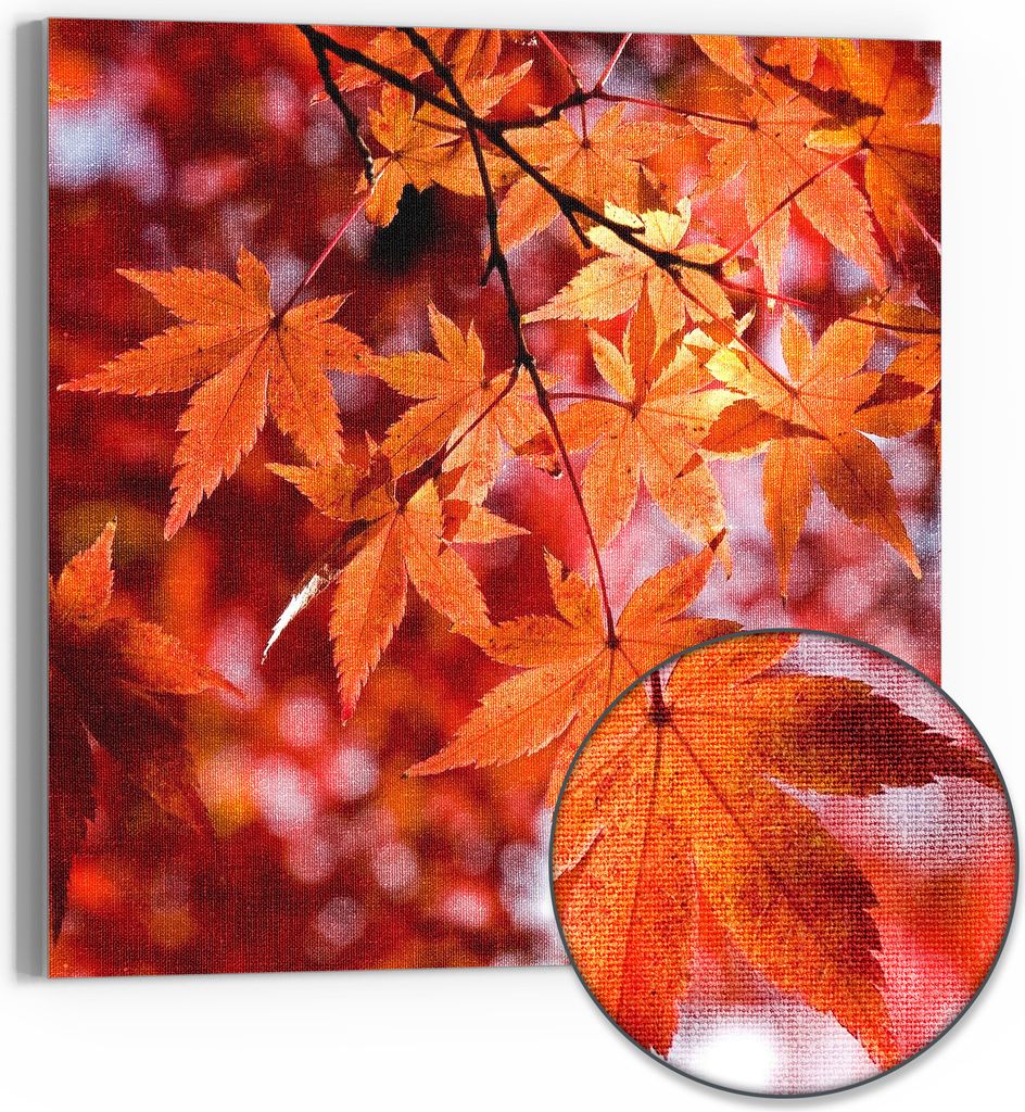 DEQORI Hybrid Leinwand Bild 50x50 cm 'Herbstblattglanz' Wandbild Glas flach modern