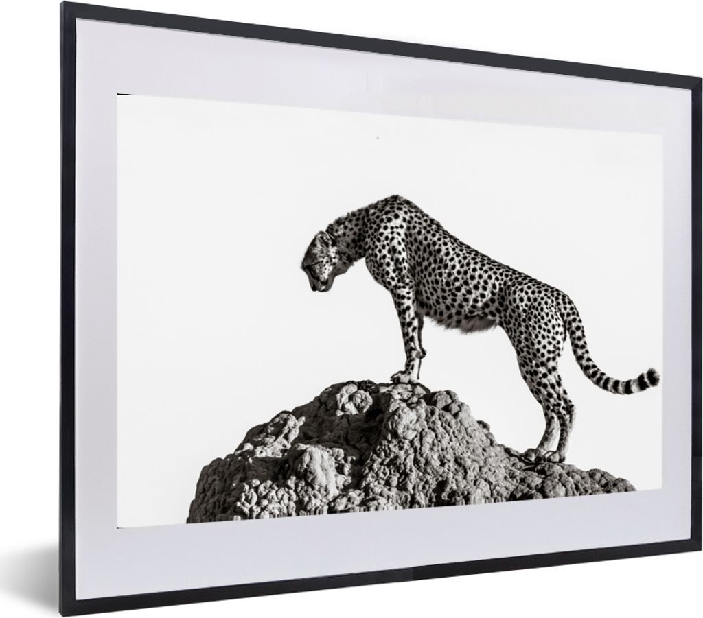 MuchoWow Gerahmtes Poster Raubtier - Panther - Tiere - Natur 60x40 cm - Poster mit Schwarzem Bilderrahmen Wandposter Rahmen Foto Bilder - Schlafz...
