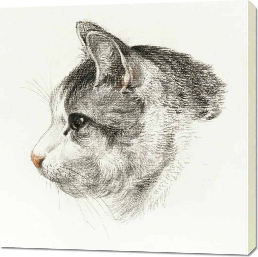 Decorazione Parete Salotto: Quadro Gatto Jean Bernard Vintage 90x90cm