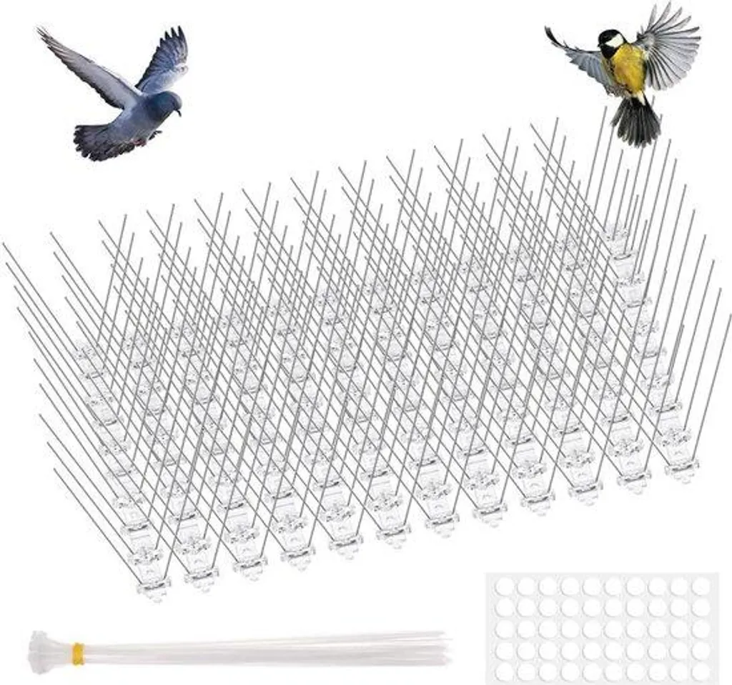 Kit 12 Pics Anti-Oiseaux Inox Durables pour Rebords de Fenêtre - Pro