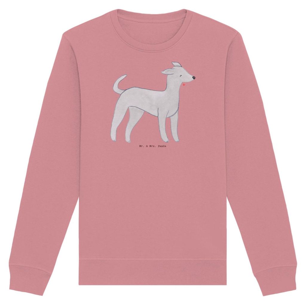 Mr. & Mrs. Panda Baumwoll Sweatshirt Italienisches Windspiel Moment Größe S - Canyon Pink - Geschenk, Windhund, Italian Greyhound, Pulli, Rundhal...