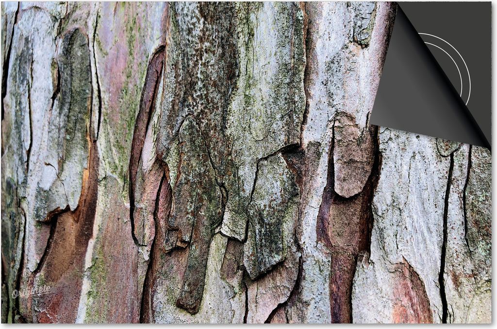 Induktionsschutz 81x52 - abdeckplatte Induktion matt- Dietrix Kochfeldschutz- Base - Holz und Baum - Rinde klimBaum ‘Dietrix ’