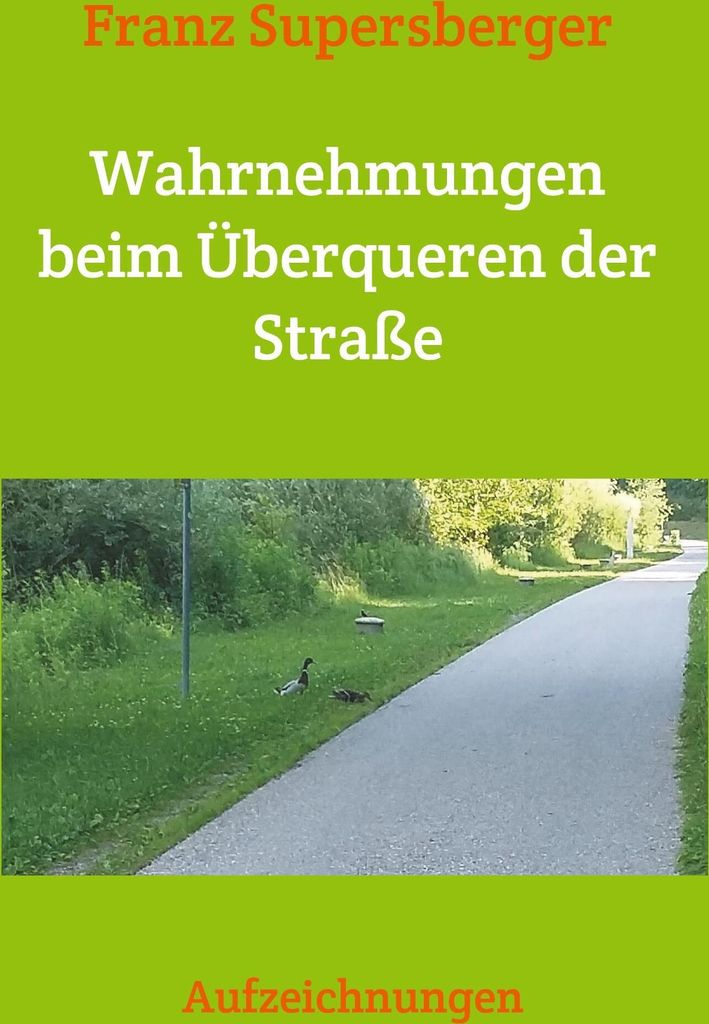 Wahrnehmungen beim Überqueren der Straße