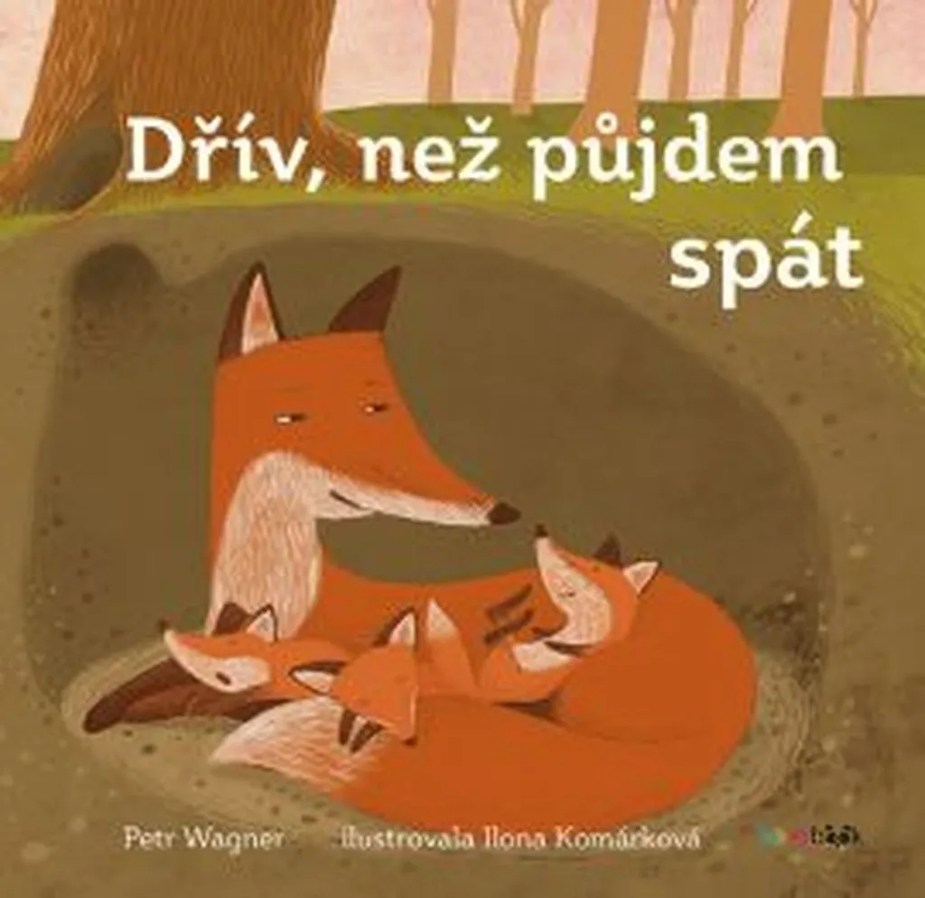 Recueil Littéraire Dřív než půjdem spát - Œuvre de Petr Wagner Format Broché