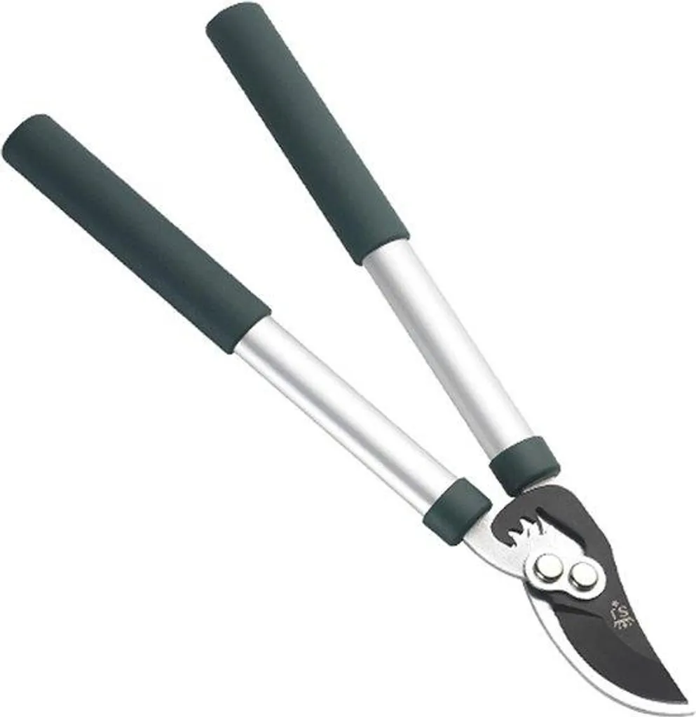Sécateur télescopique pour élagage en hauteur bleu, portée 445 cm