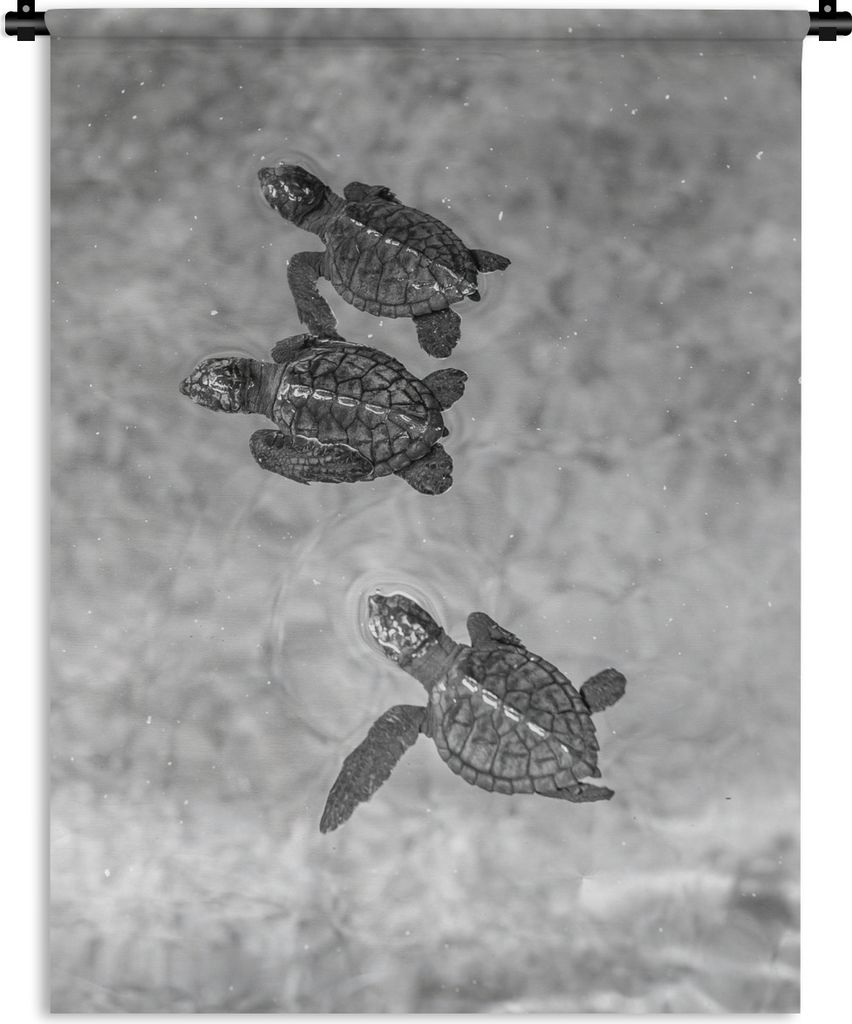 MuchoWow Wandteppich Wandbehang Schildkröten schwarz-weiß Foto 60x80 cm Tapisserie Dekoration Wandtuch - Decke - Wandtücher - Wohne