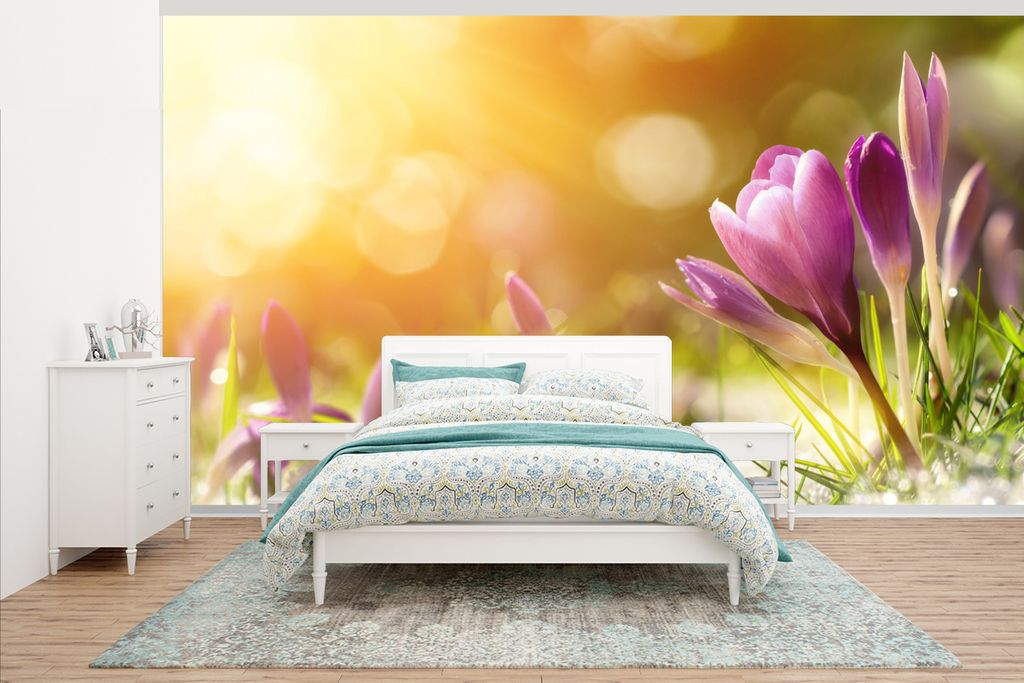 MuchoWow Fototapete für Wohnzimmer oder Schlafzimmer Wandtapete Vinyl Motivtapete Krokus - Sonne - Frühling - 535x300 cm - Wanddekoration