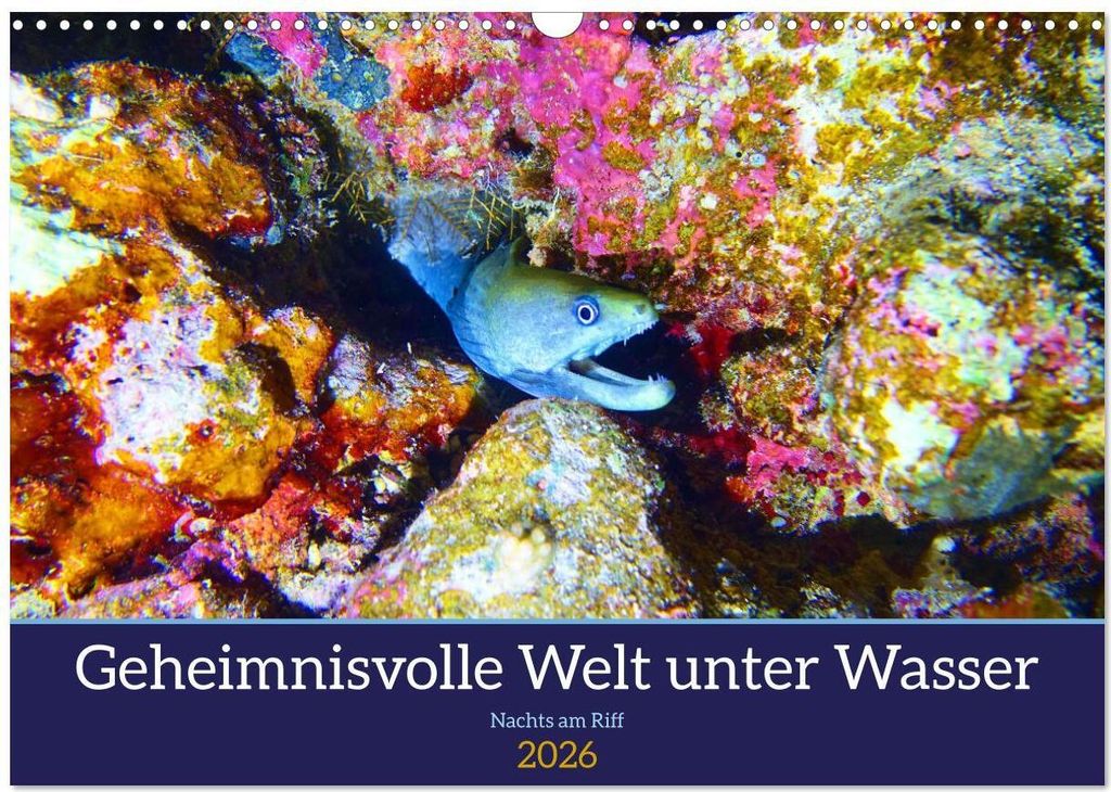 Geheimnisvolle Welt unter Wasser - Nachts am Riff (Wandkalender 2026 DIN A3 quer), CALVENDO Monatskalender