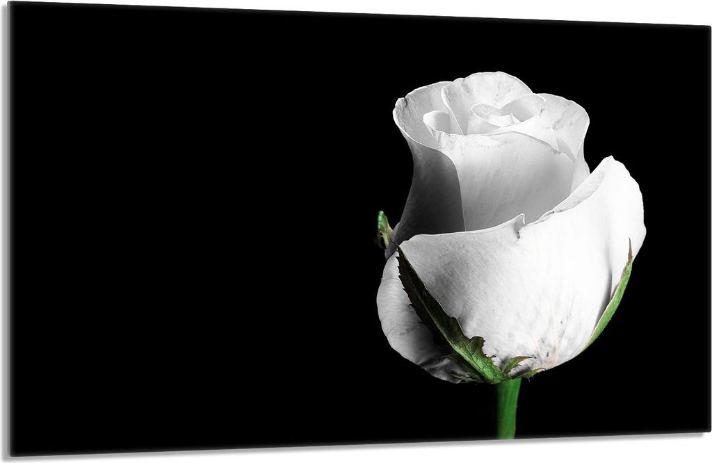 Glasschutzplatte für den Herd 80x52 Rose