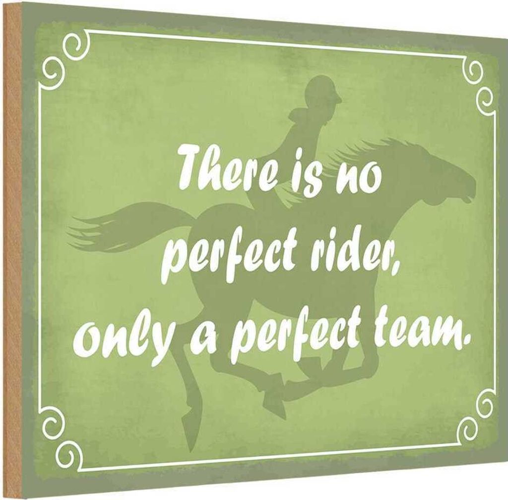vianmo Holzschild 12x18 cm there is no perfect rider only Produktbild 