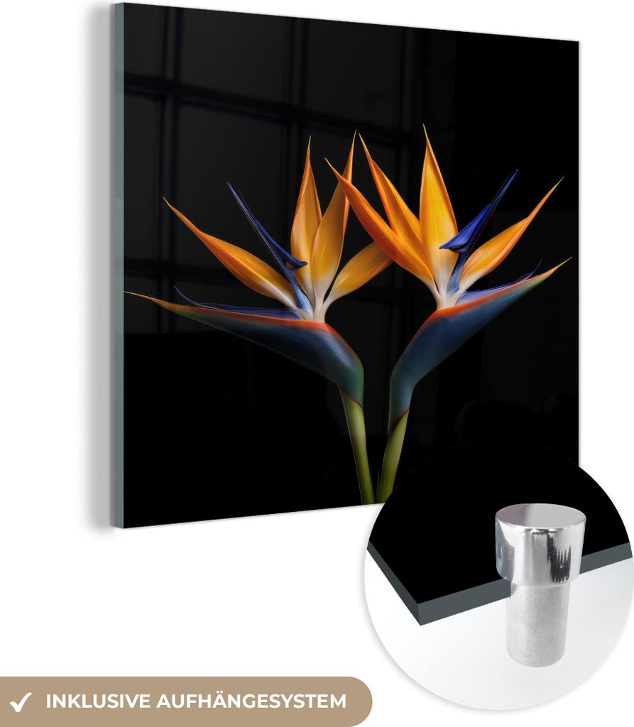 MuchoWow Glasbilder - Bilder auf Wandbild - Foto auf Glas Pflanzen - Blumen - Paradiesvogelblume - Porträt - Schwarz 50x50 cm Wanddekoration aus G...