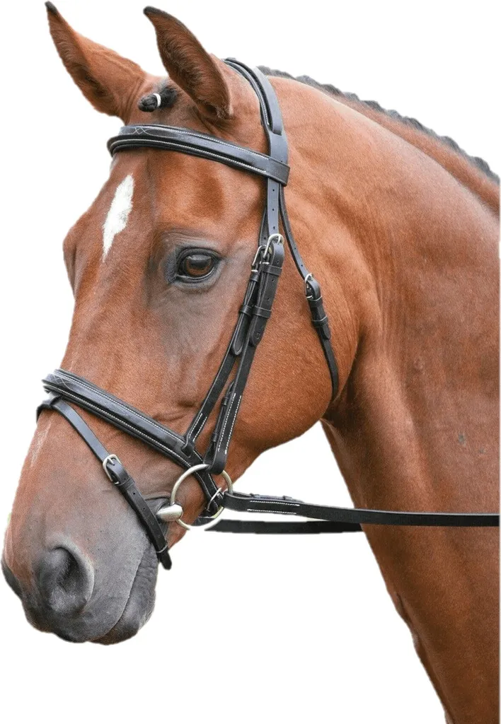 Filet de bridon en cuir avec surpiqûres pour poney, noir ER867