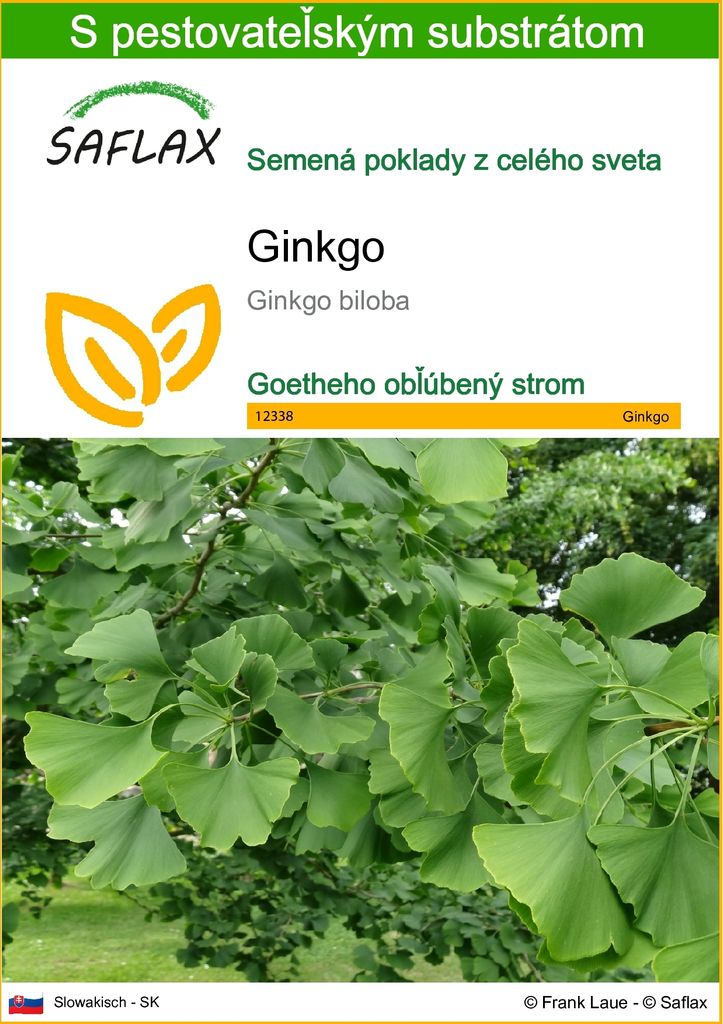 SAFLAX - ginkgo - Ginkgo biloba - 4 Semená - S Obrázok produktu 