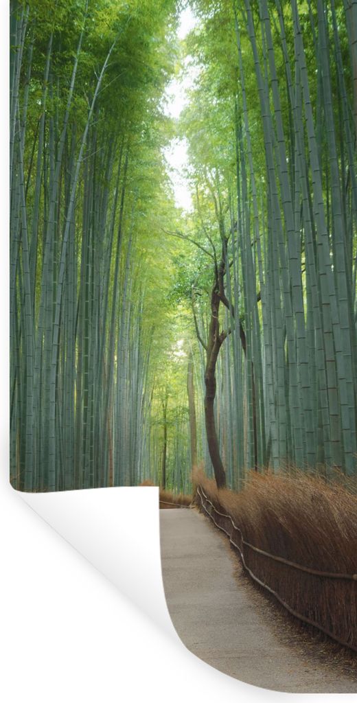 MuchoWow Wandtattoo Wandsticker Wandaufkleber Bambus - Weg - Wald 60x120 cm Selbstklebend und Repositionierbar - Selbstklebend - Fototapeten