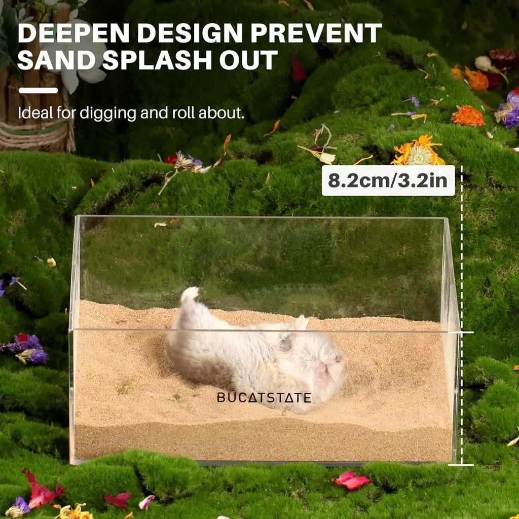 Bain de sable transparent pour hamster 3,2" avec échelle antidérapante