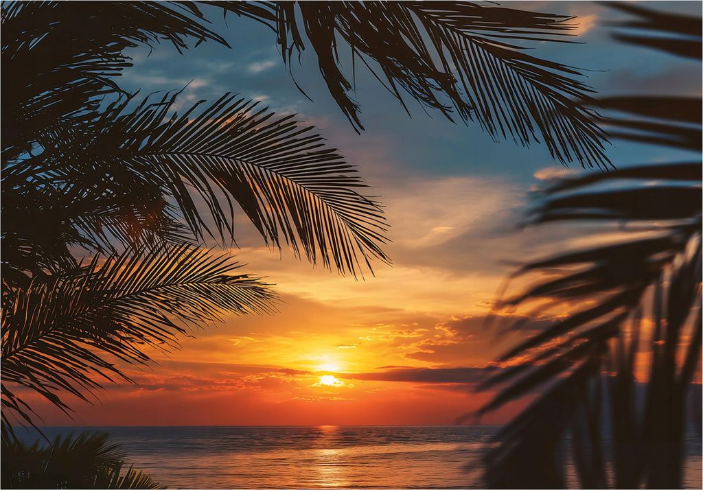 Fototapete Strand Palmen Natur - 400x280 cm - Vliestapete Wohnzimmer Schlafzimmer - Vlies Fototapete Orange - 15986VX8