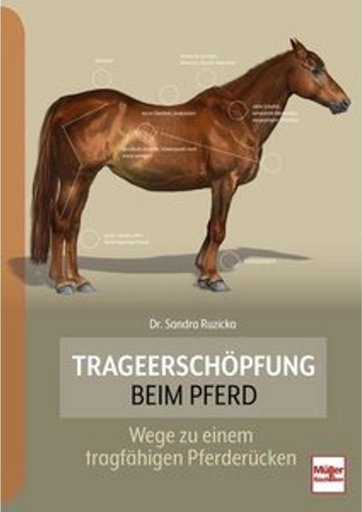 Trageerschöpfung beim Pferd Image du produit 