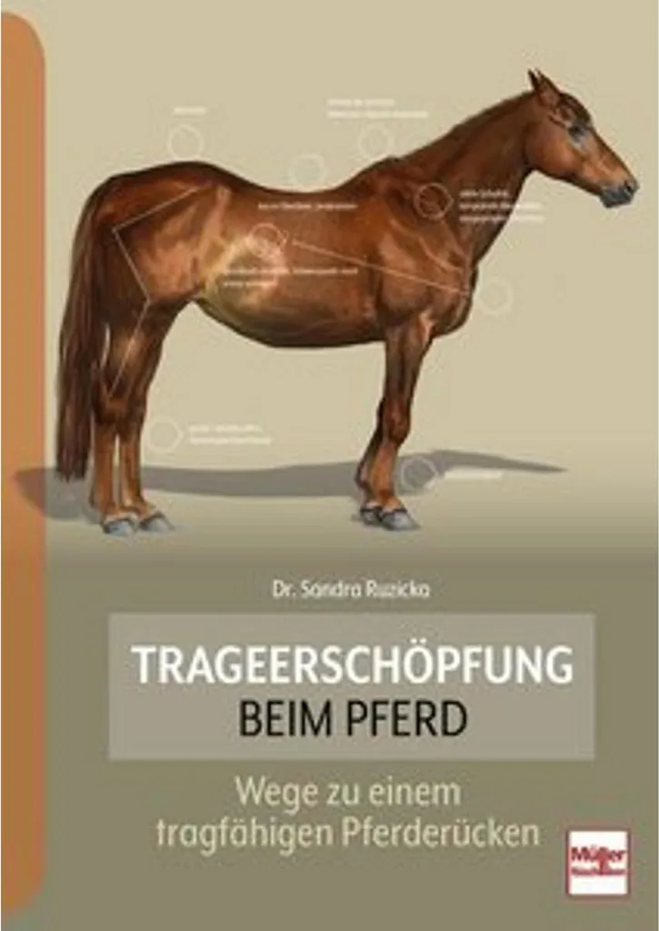 Livre Trageerschöpfung beim Pferd - Manuel de Biomécanique Équine 240p