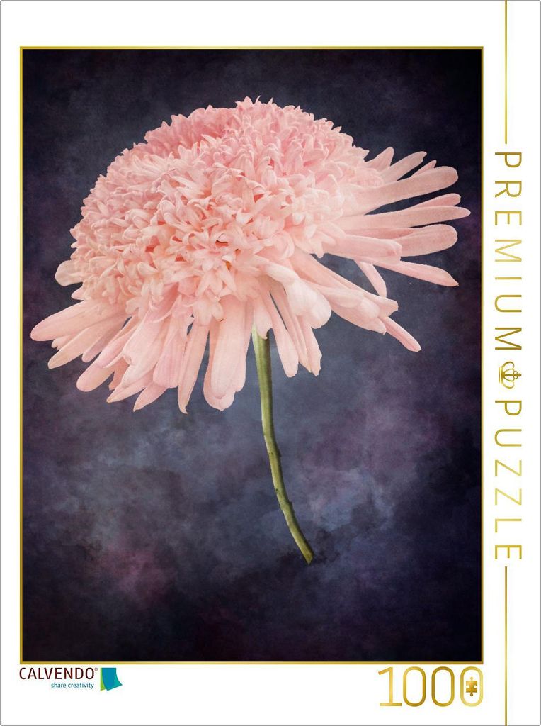 CALVENDO Puzzle Dahlie 1000 Teile Puzzle hoch | 1000 Teile Lege-Größe 64x48cm Foto-Puzzle für glückliche Stunden