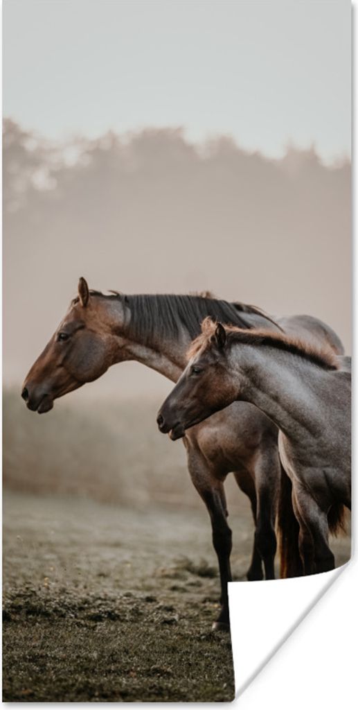 MuchoWow Poster Pferde - Nebel - Wiese 20x40 cm - Plakat - Foto