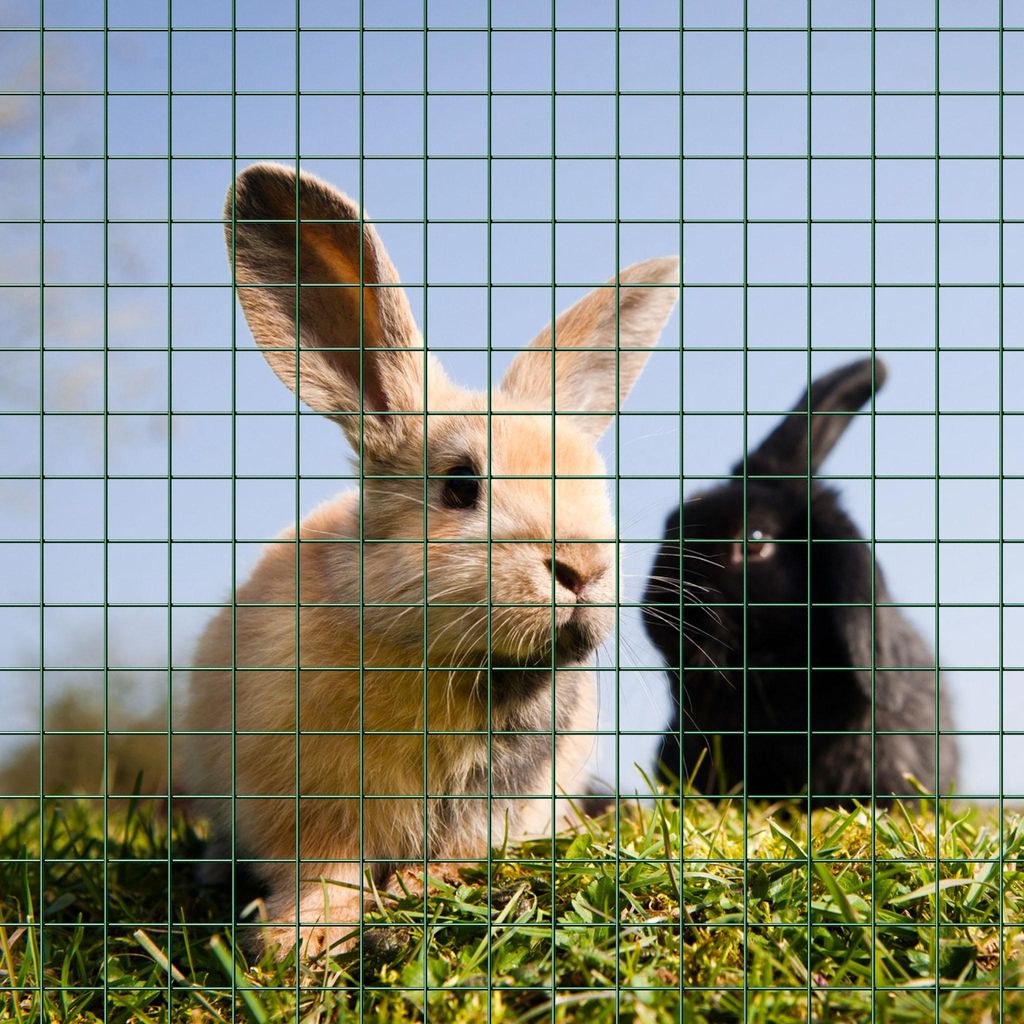 Rete Metallica Di Recinzione Del Coniglio Del Giardino Della Rete Del Gopher Dell'acciaio Inossidabile - Foto 11