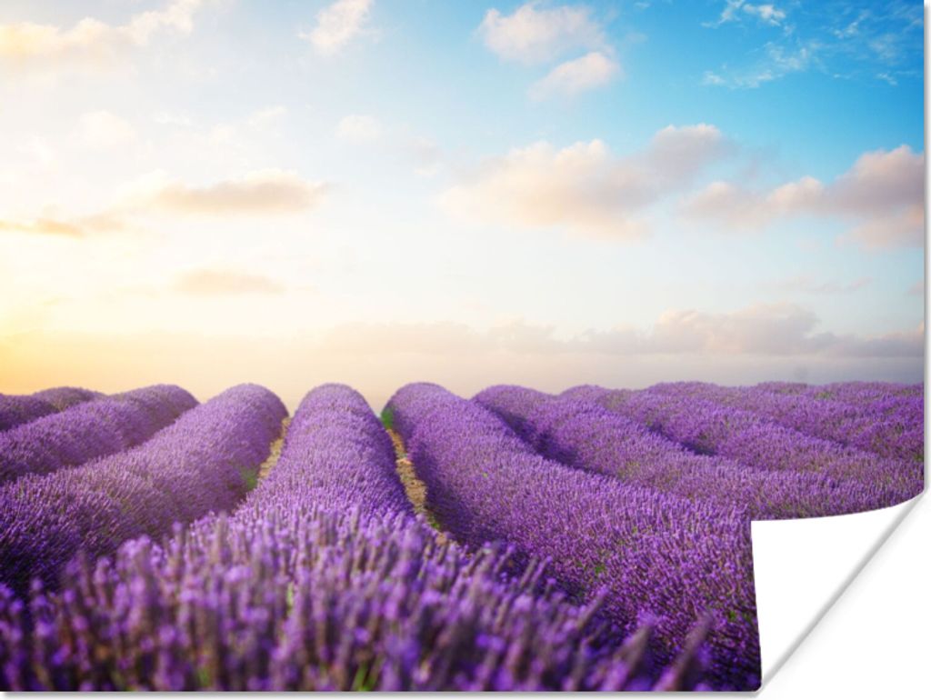 MuchoWow Poster Lavendel - Himmel - Wolken - Blumen 120x90 cm - Wandbild