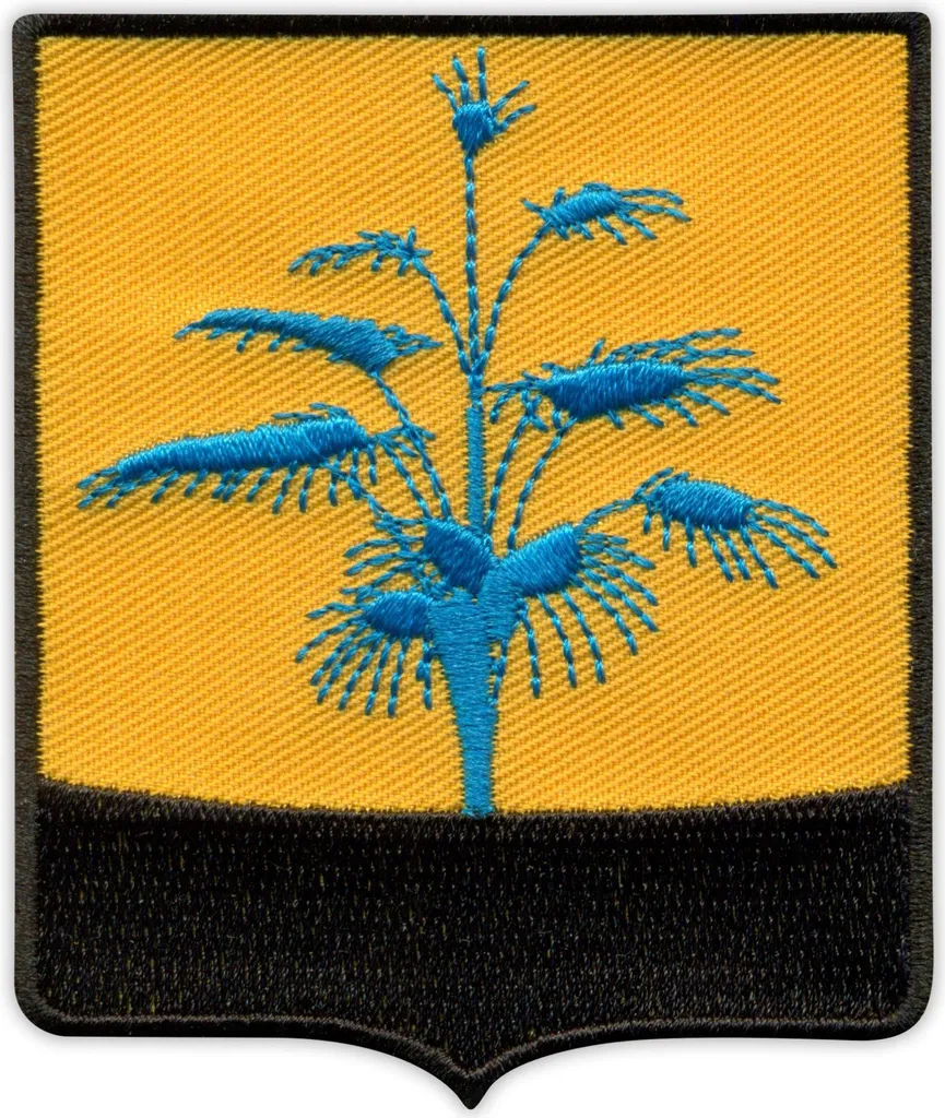 Patch Donetsk pour Customisation Vêtements Écusson Brodé à Repasser