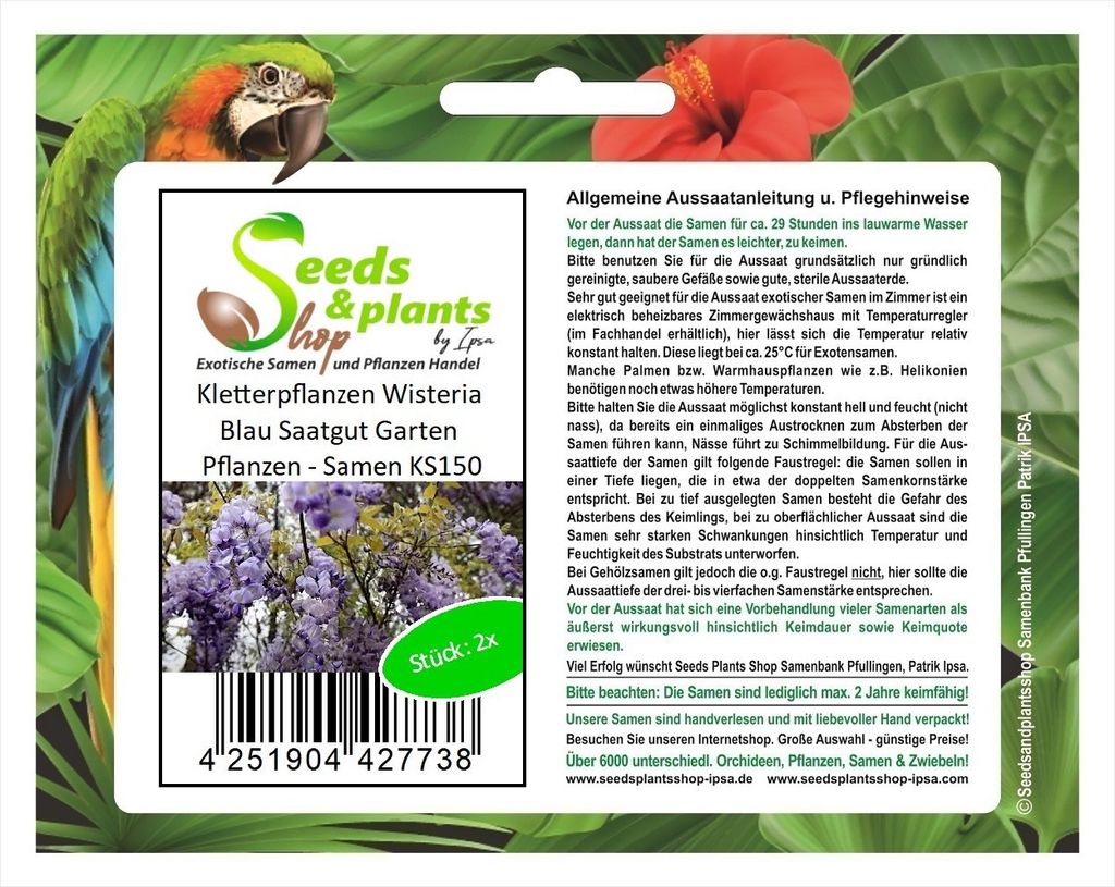 2x Kletterpflanzen Wisteria Blau Saatgut Garten Pflanzen - Samen KS150