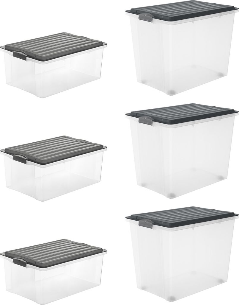 Rotho 2er-Set Aufbewahrungsbox 40L Maloja - Kunststoffbox mit Deckel - Stapelbox 39,5 x 38,0 x 34,0 cm - Plastikbox Ordnungsbox Allzweckkiste