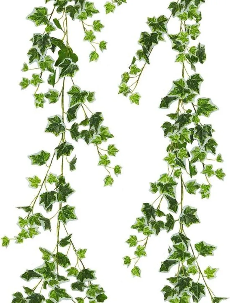 Guirlande de lierre artificiel 180 cm - Vigne verte inodore décorative