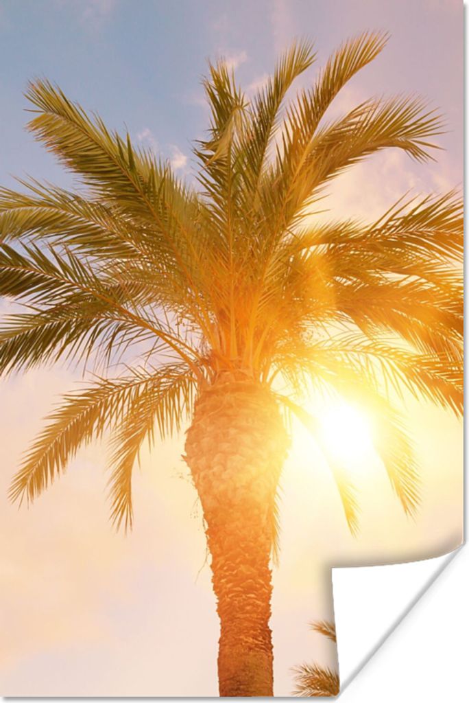 MuchoWow Poster Palme - Sommer - Sonne - Tropisch 40x60 cm - Plakate für die Wand - Poster Babyzimmer