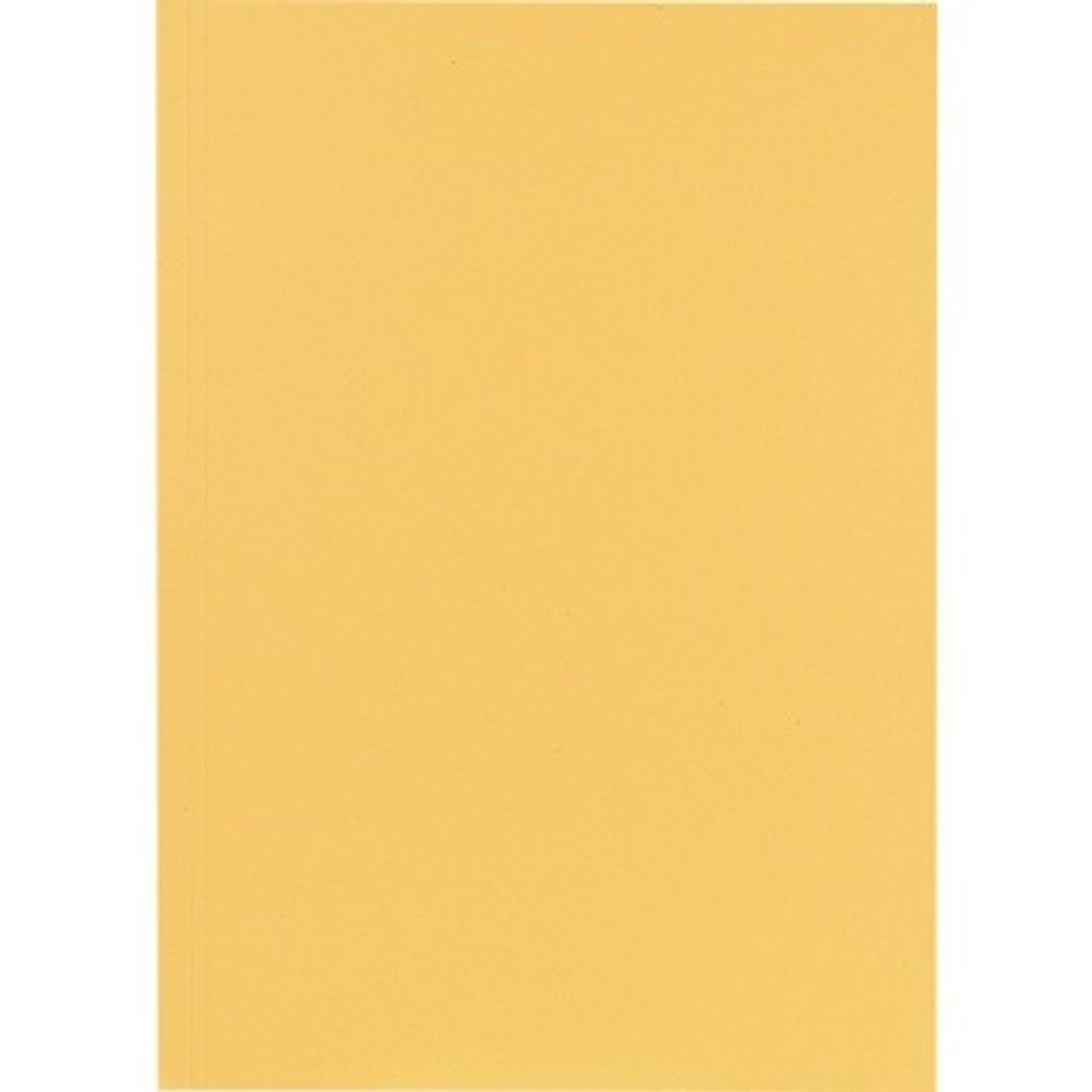 Falken 80001233, Champagner, Karton, A4, Porträt, Produktbild 
