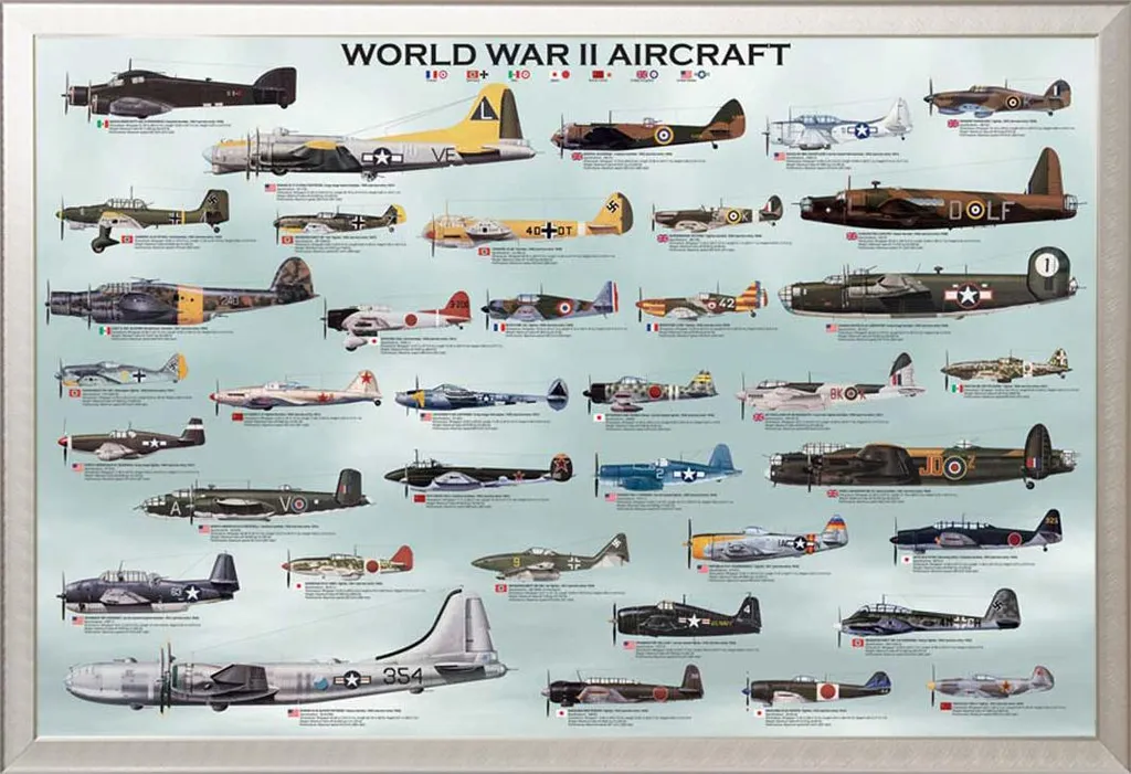 Poster Éducatif Histoire Militaire avec Cadre Alu Argent Shinsuke et Vitre