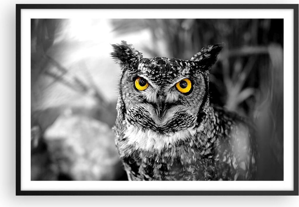 Gerahmtes Poster - Schwarzer Rahmen - Eule Vogel Natur - 91,5x61 cm - Wand Bild - Wanddeko - Wandbilder - Kunstposter - Wandposter - Bilderrahmen -...