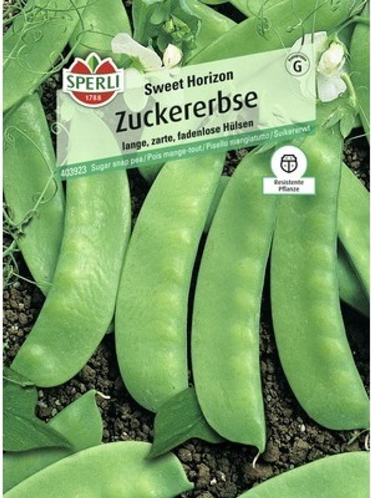 Zuckererbse 'Sweet Horizon' Sperli Gemüsesamen