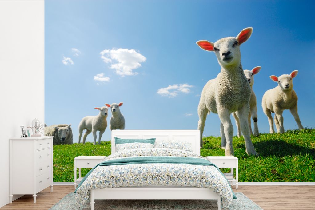 MuchoWow Fototapete für Wohnzimmer oder Schlafzimmer Wandtapete Vinyl Motivtapete Schafe - Frühling - Landschaft - 450x300 cm - Gemusterte