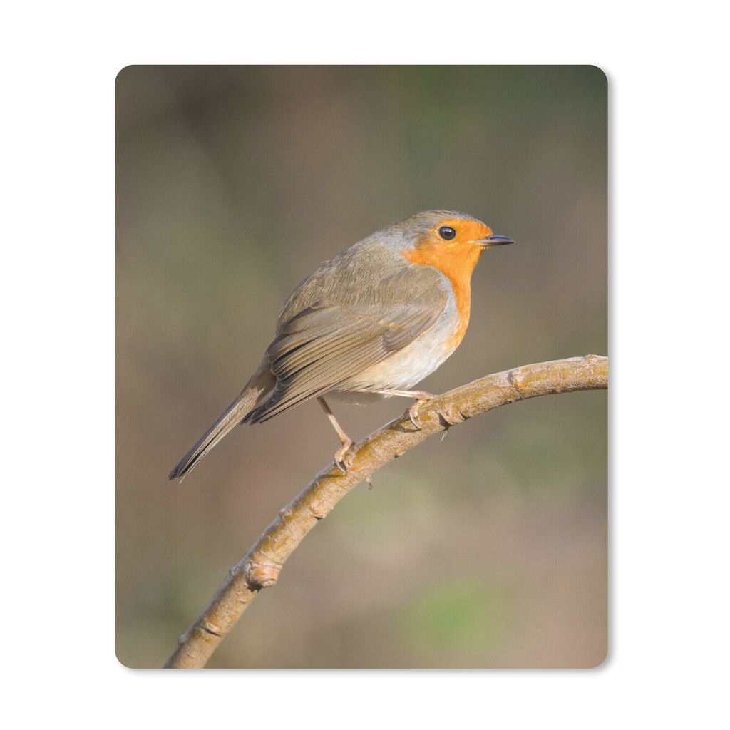 MuchoWow Mauspad Mousepad Rotkehlchen - Vogel - Natur 19x23 cm - Mousepads - Maus Mat - Pad - Mausunterlage - Mauspads - Spielen