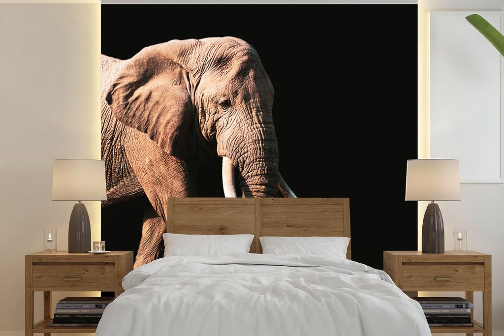 MuchoWow Fototapete für Wohnzimmer oder Schlafzimmer Wandtapete Vinyl Motivtapete Elefant - Zähne - Tiere - 220x220 cm - Tapeten