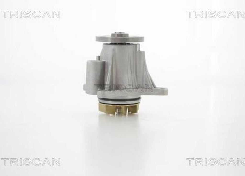TRISCAN Wasserpumpe 8600 17014