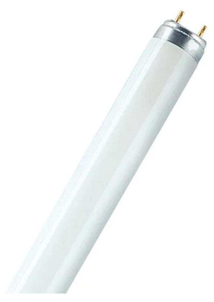 Tube Fluorescent Osram 58w 6500k éclairage Puissant Lumière Image du produit 