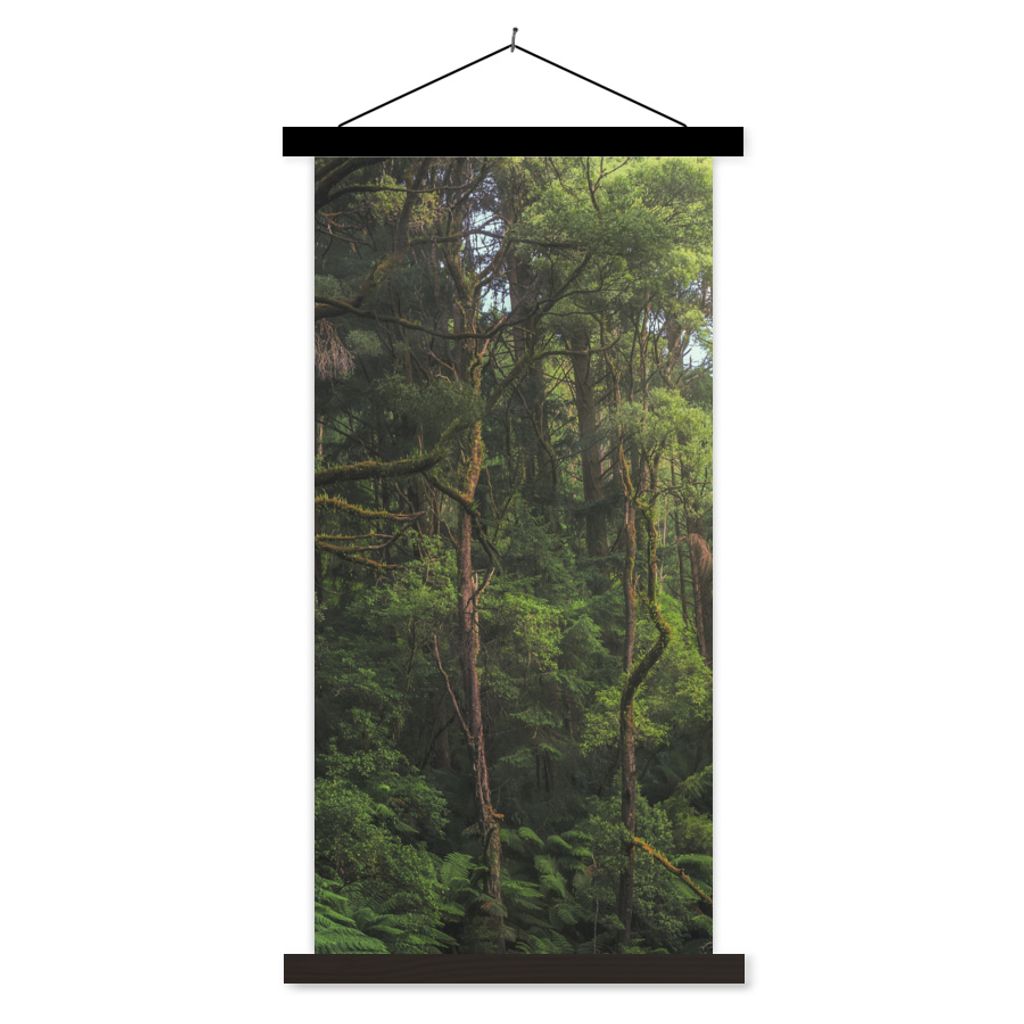 MuchoWow Textilposter Dschungel in Australien 60x120 cm mit schwarzem Rahmen - Magnete