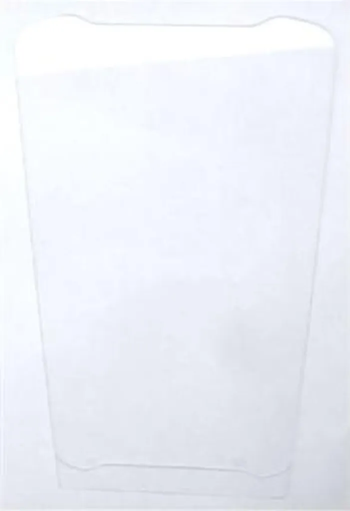 Verre Trempé Zebra SG-NGTC5-SCRNP-01 Protection Écran Série TC53e
