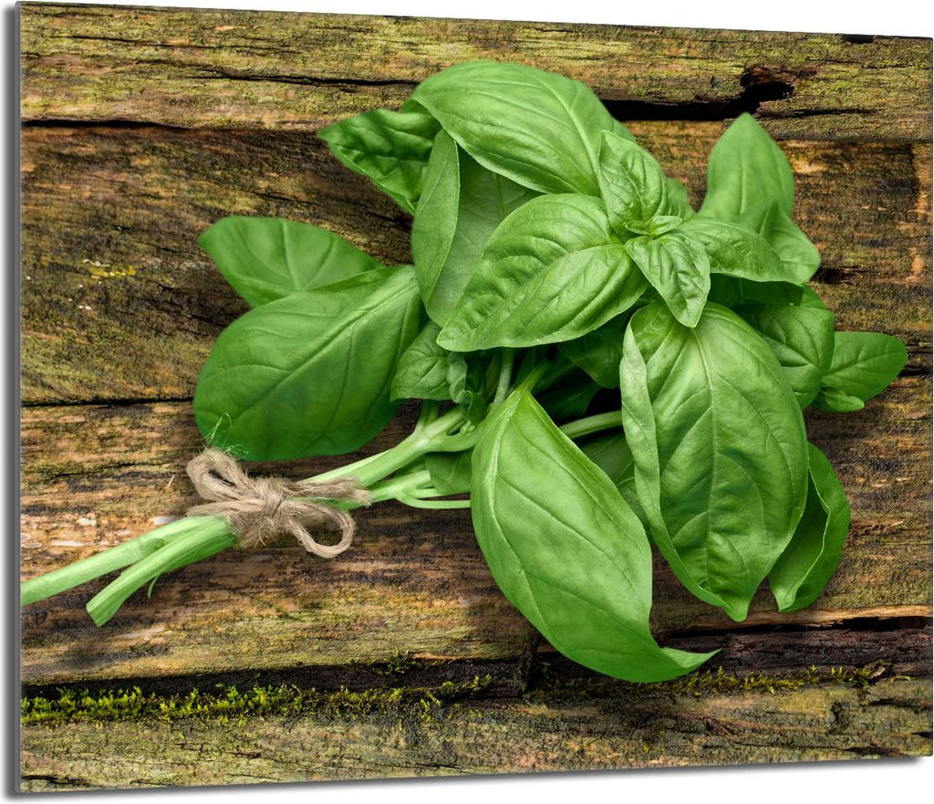 Glas-Herdplattenschutz 60x52 Basil